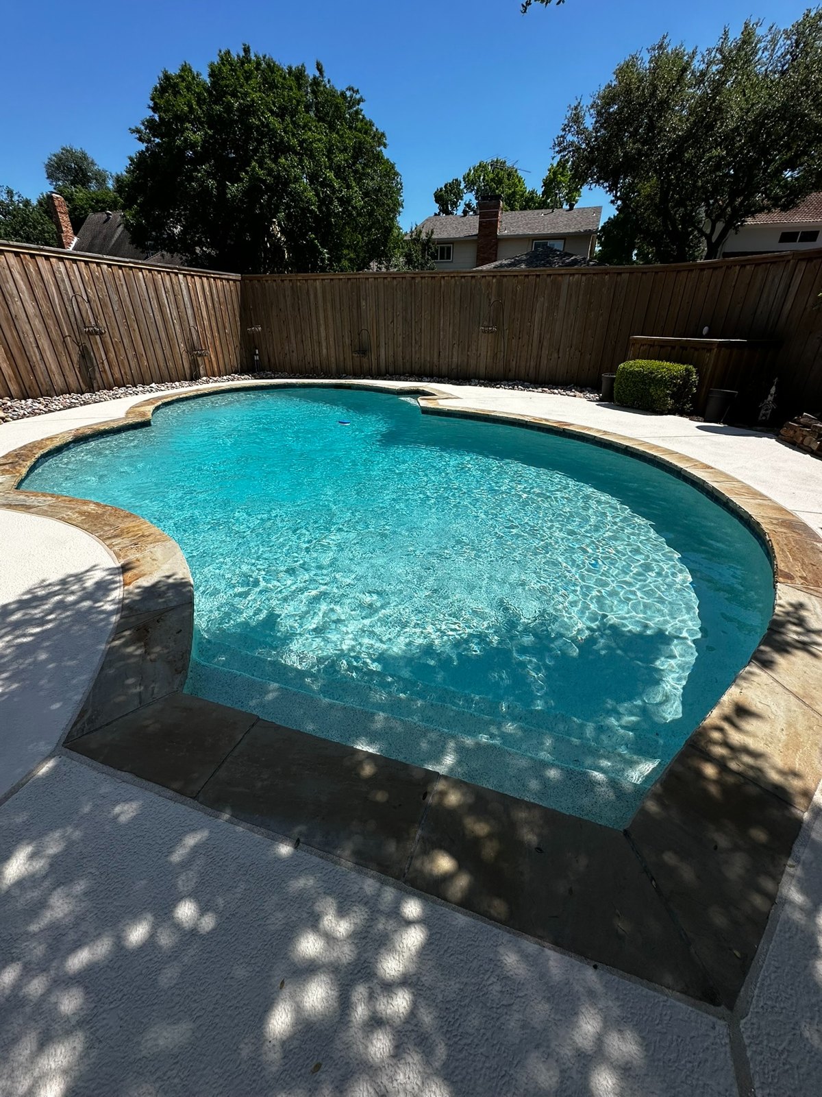 Finished backyard pool