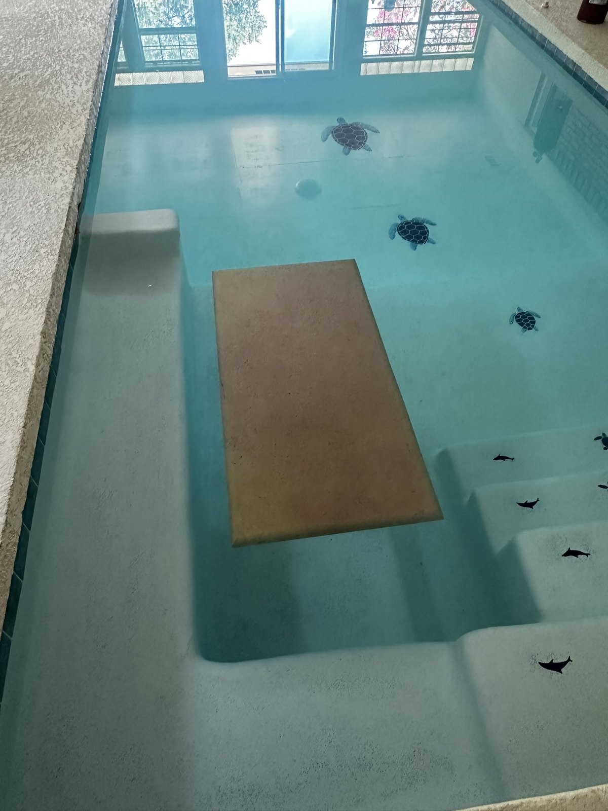 Indoor pool remodel — after