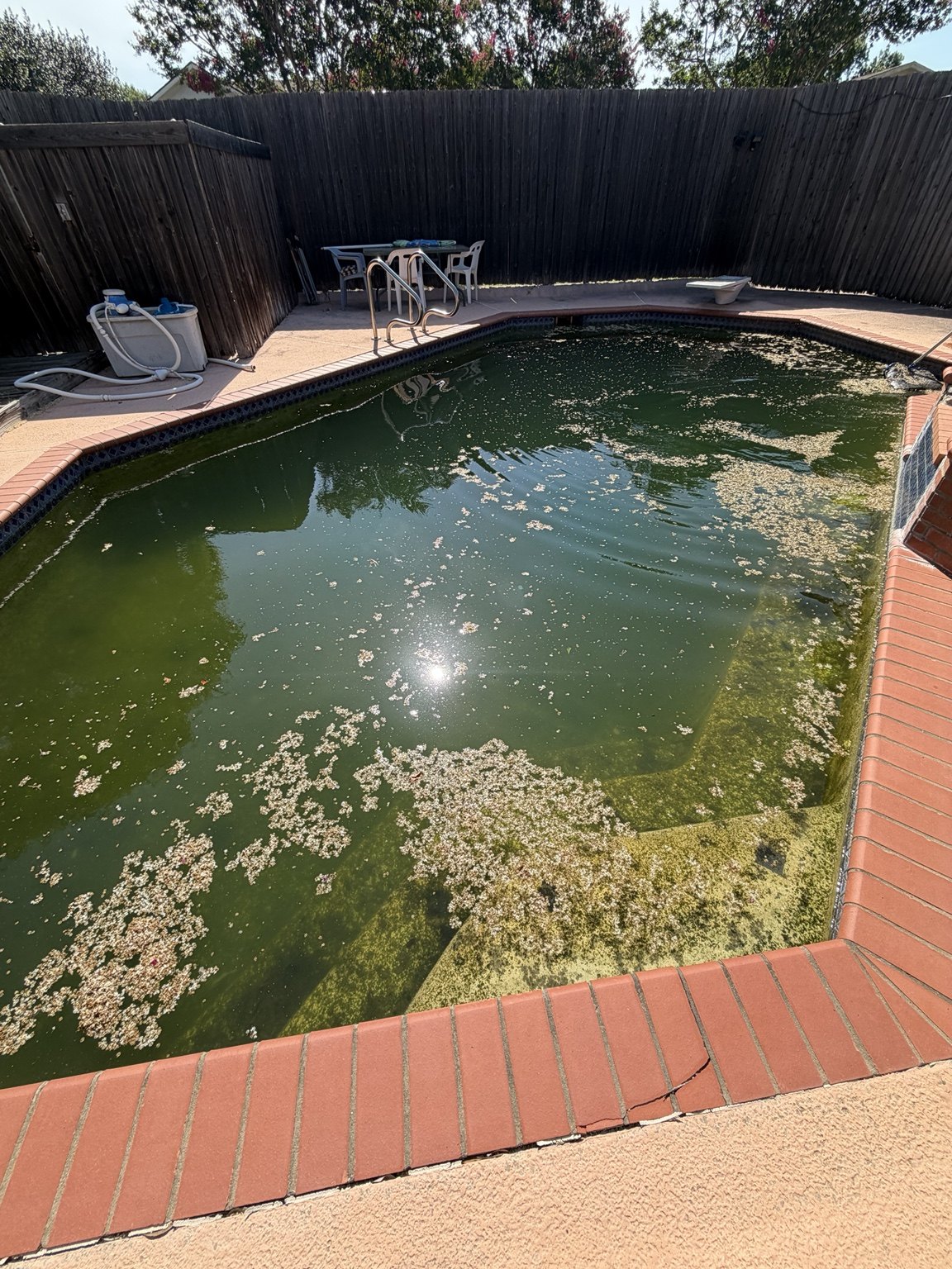 Additional view before pool remodeling